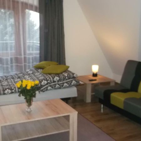 Apartamenty Lejówka Chocholow Exterior foto